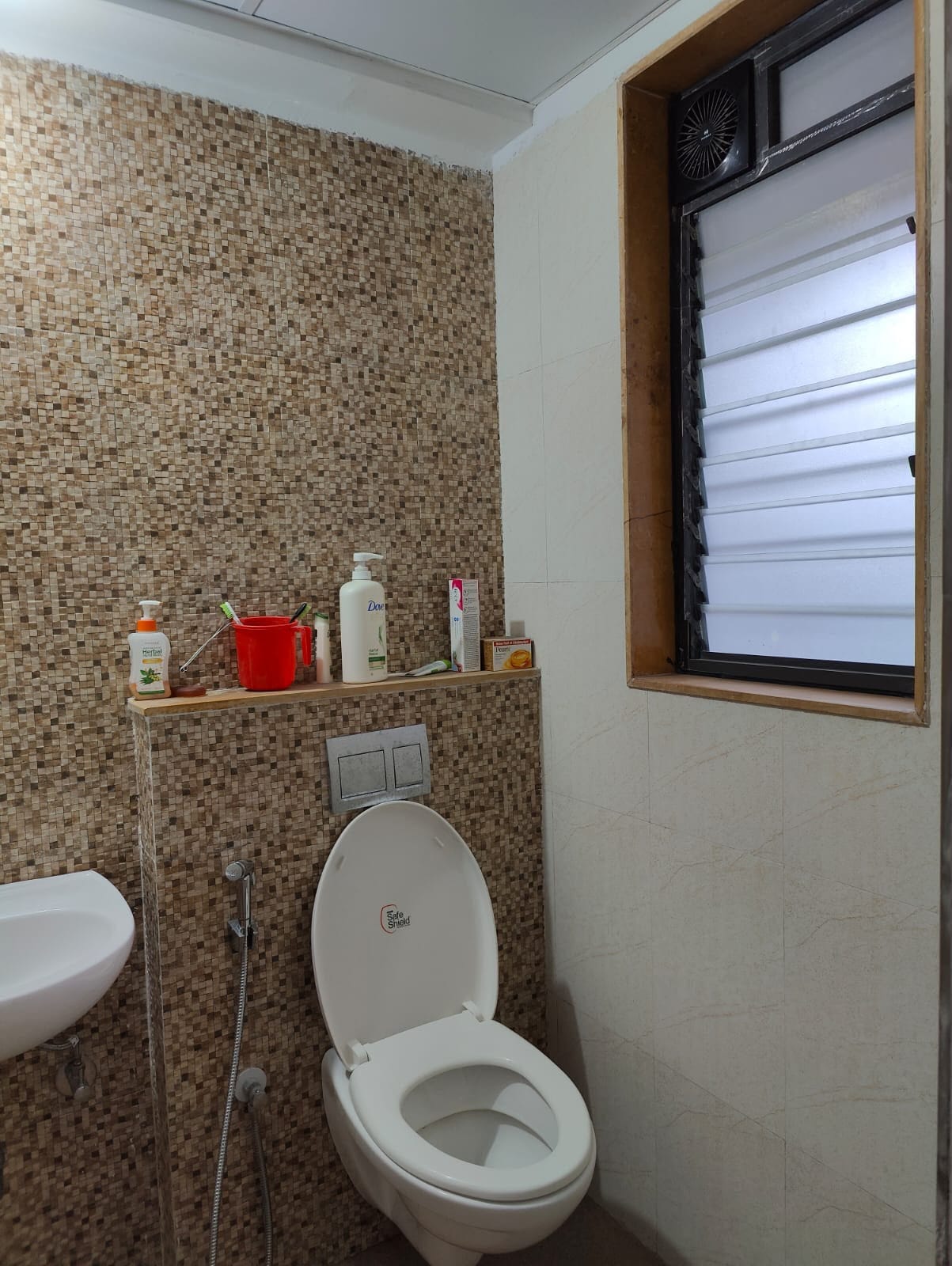 1 BHK Flat In Ivy Apartment  for Rent In Wagholi property in Wagholi, Pune