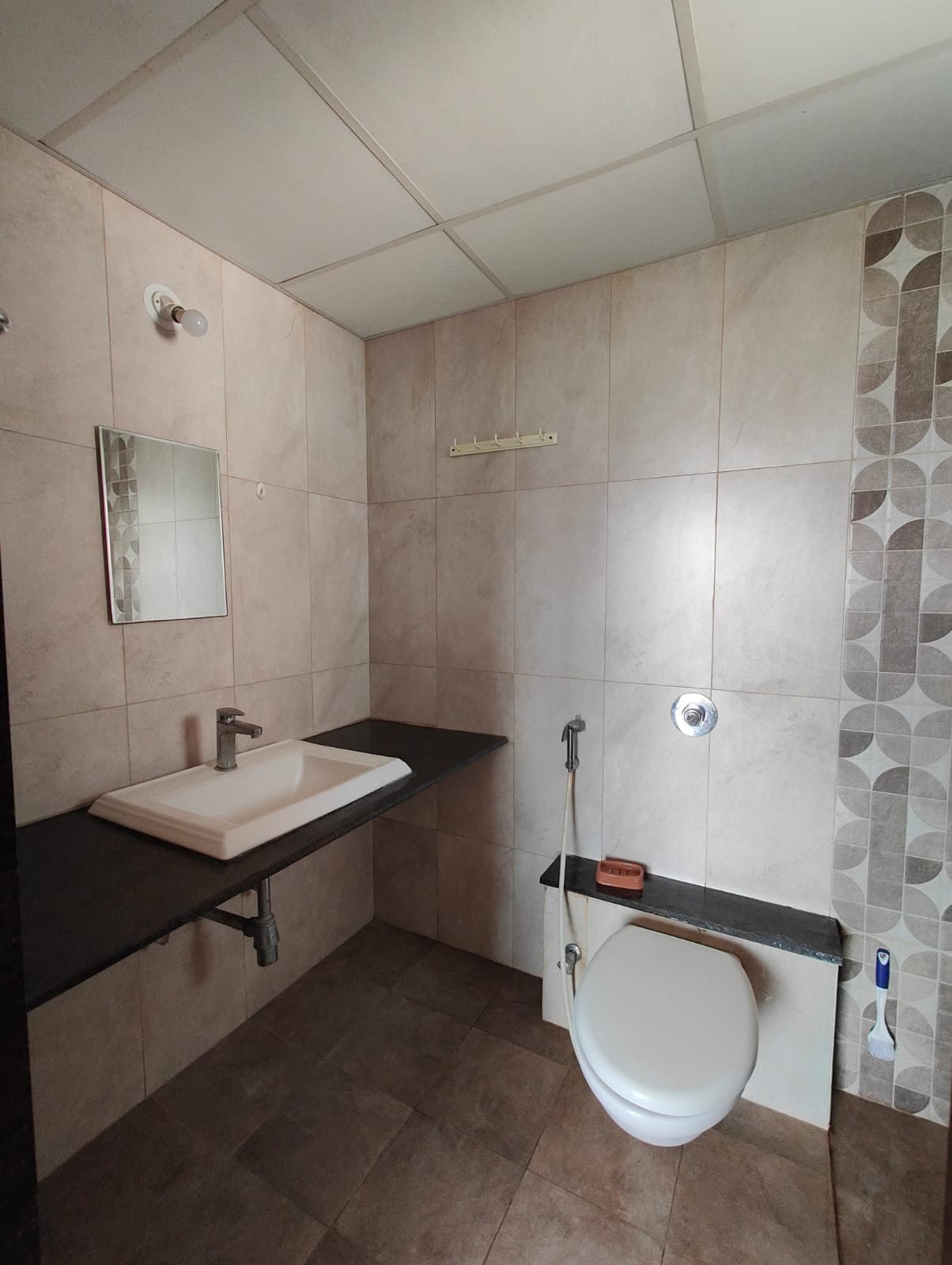 1 BHK Flat In Ivy Apartment  for Rent In Wagholi property in Wagholi, Pune