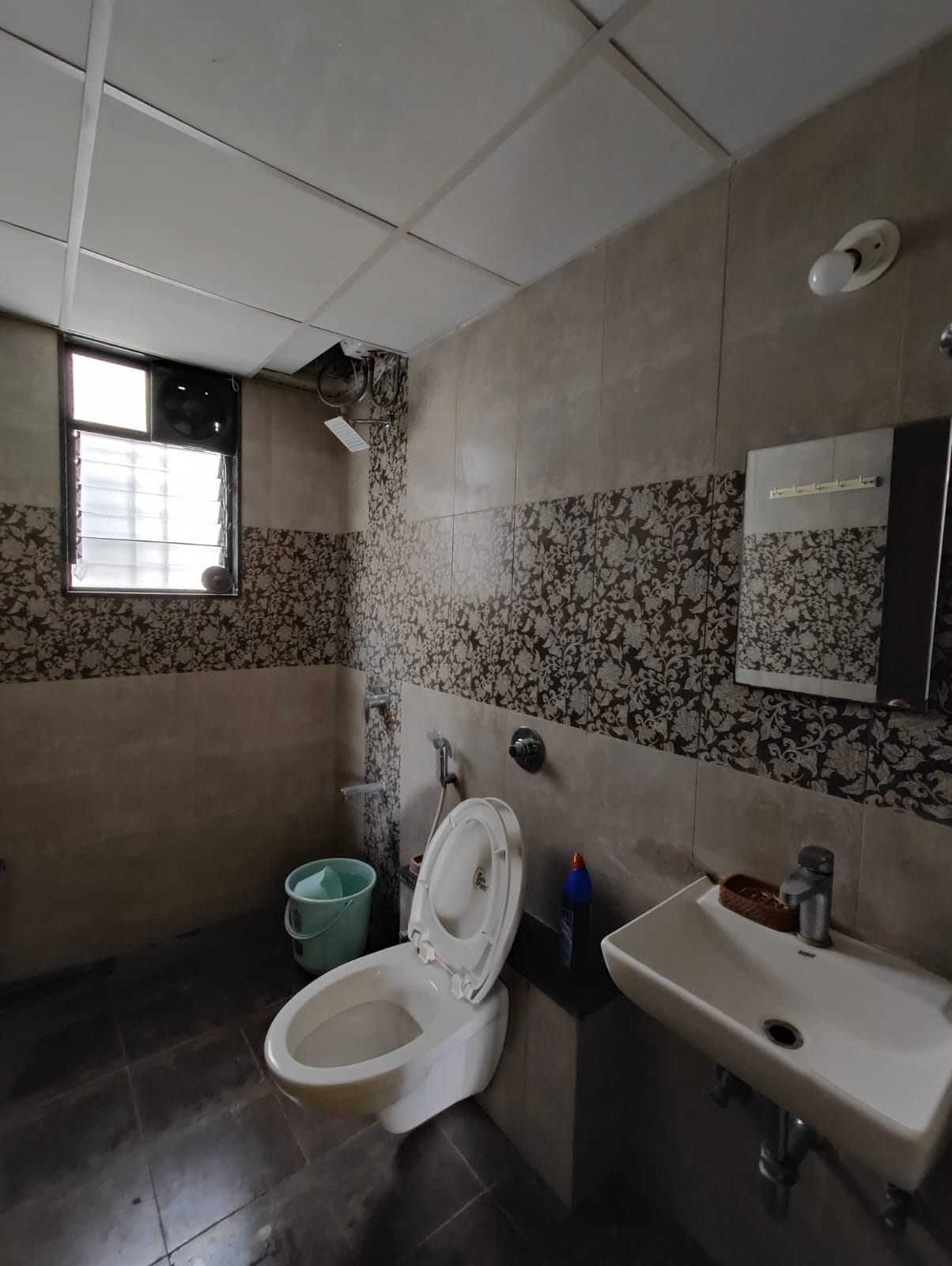 1 BHK Flat In Ivy Apartment  for Rent In Wagholi property in Wagholi, Pune