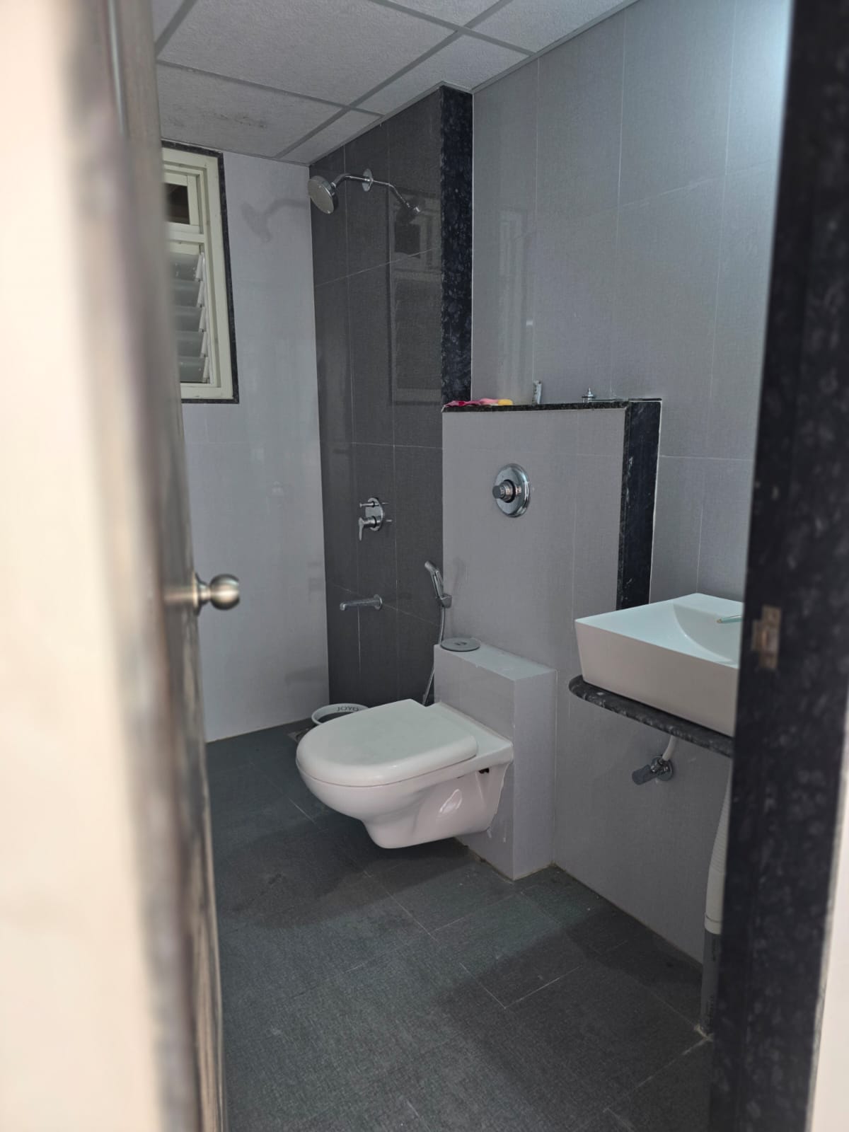 2bhk flat on rent Goel Ganga Altus Kharadi property in Kharadi, Pune